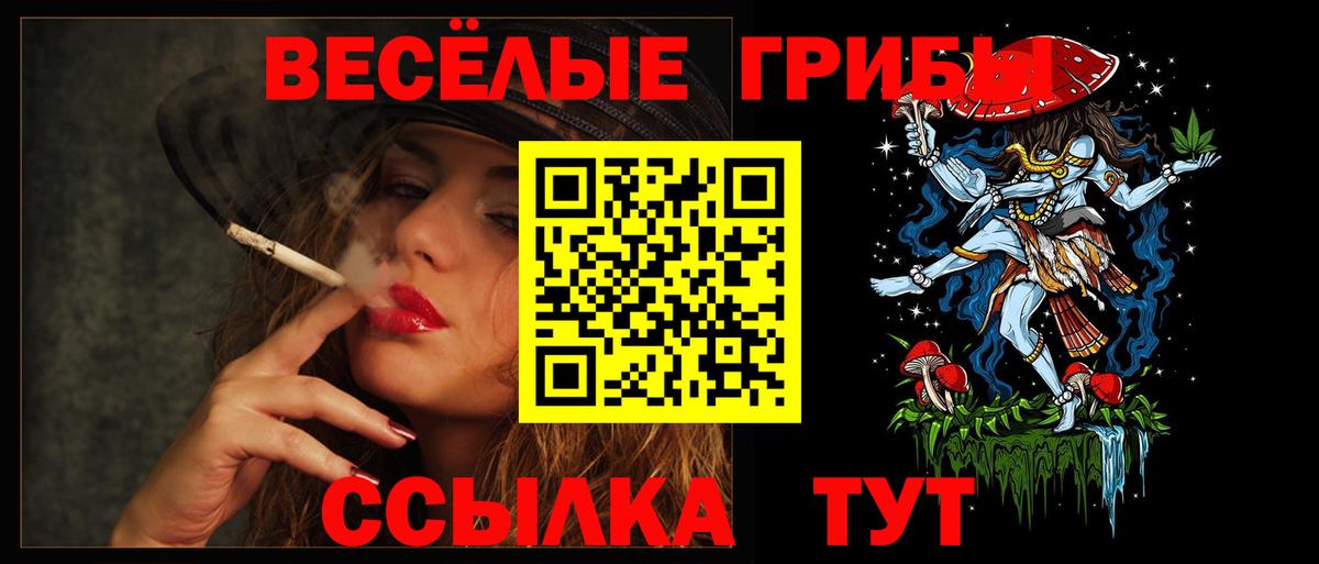 Псилоцибиновые грибы Cubensis Красный Сулин